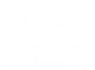 logo-v-2-transp-white